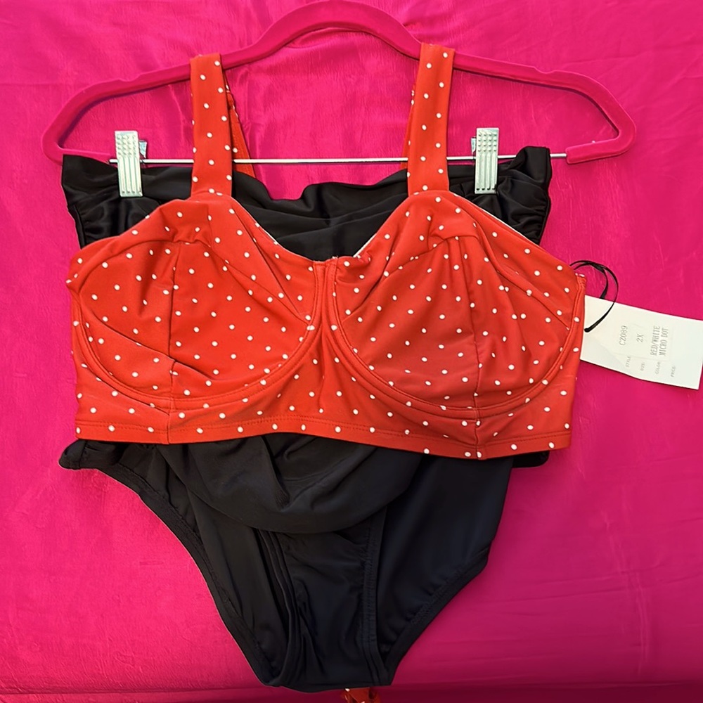 Pinup style Two piece bathing suit